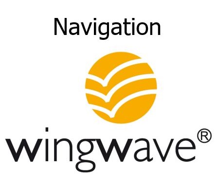 wingwave im Sport